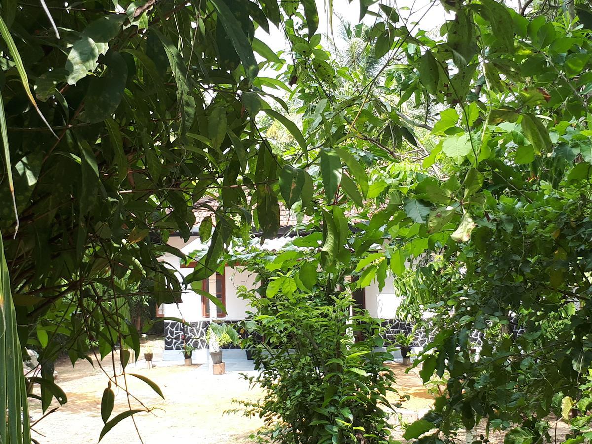 New Sam Tourist Inn Weligama Zewnętrze zdjęcie